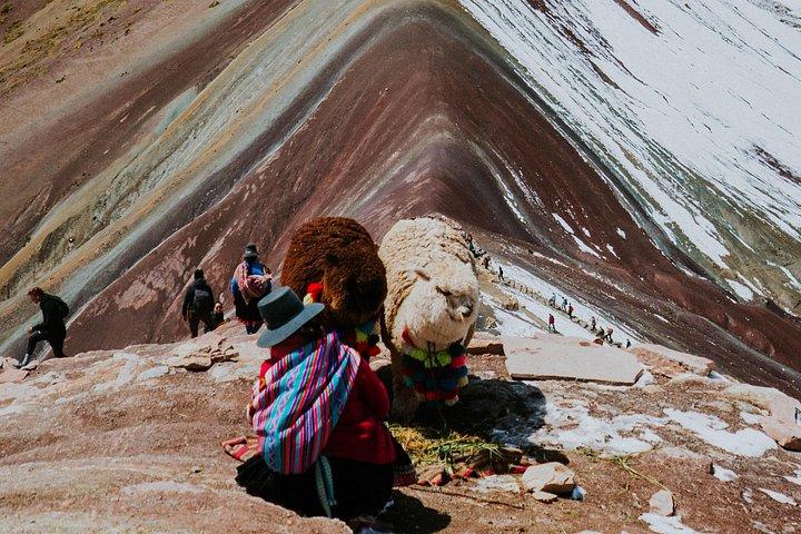 Mountain Vinicunca Mountain 7 Colors Cusco
