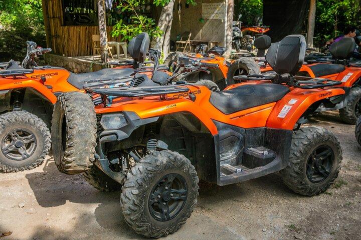 Atv Turtles and Cenote
