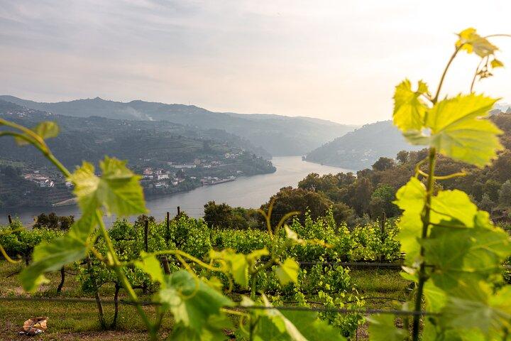 Douro Privé Tour met Vervoer