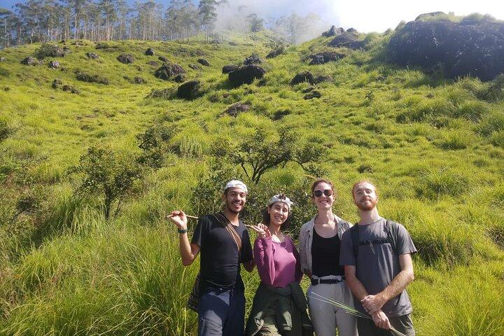 Caminhada de meio dia em Munnar Trekking Tour