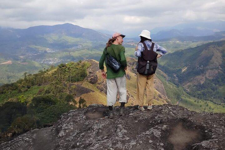 Caminhada de meio dia em Munnar Trekking Tour