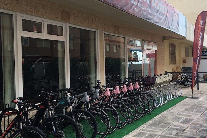 ガイド付き電動自転車ツアー： ベニドルム、ラ・カラ、ビジャホヨサ