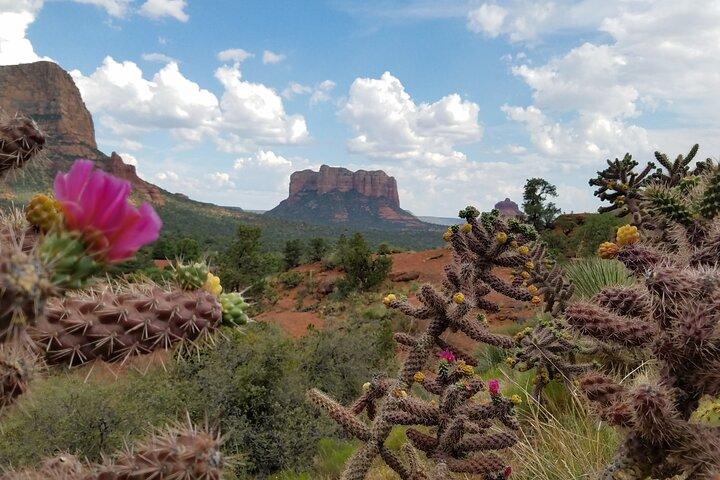 Excursión privada de un día a Sedona desde Phoenix o Scottsdale
