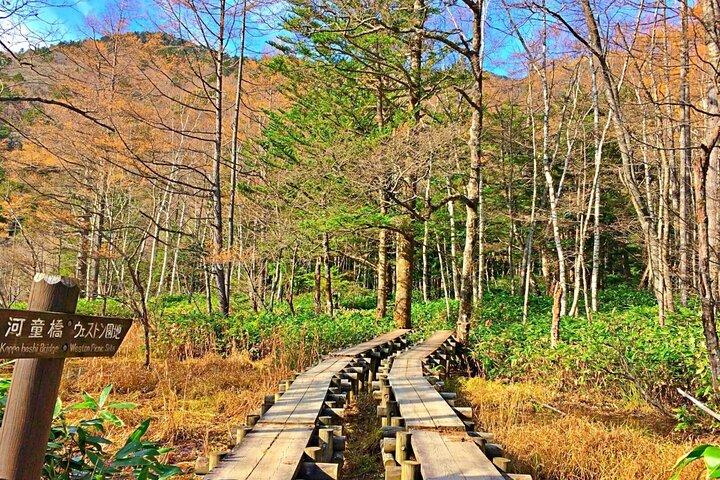 【長野発】上高地＆松本1日プライベートツアー