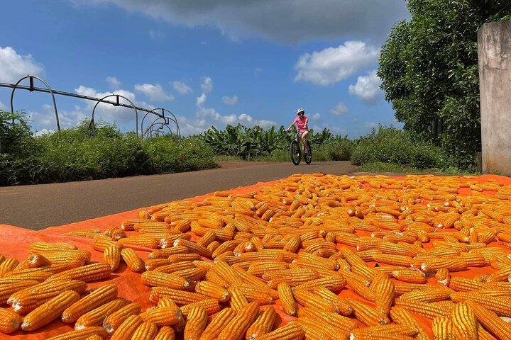 Expérience à vélo à la campagne : Phu My Port - Vietnam