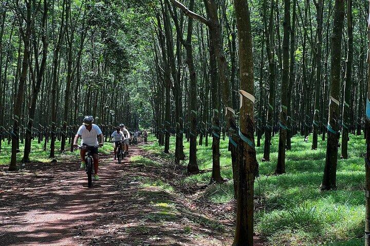 Expérience à vélo à la campagne : Phu My Port - Vietnam