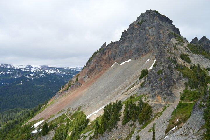 Visite guidée en voiture du parc national Ultimate Mount Rainier