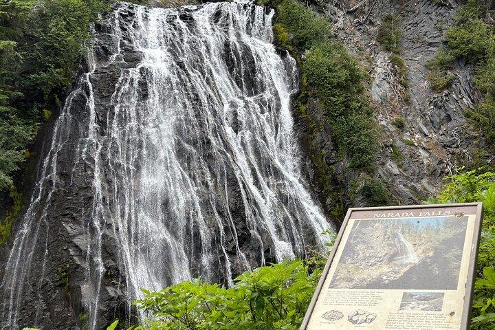 Visite guidée en voiture du parc national Ultimate Mount Rainier