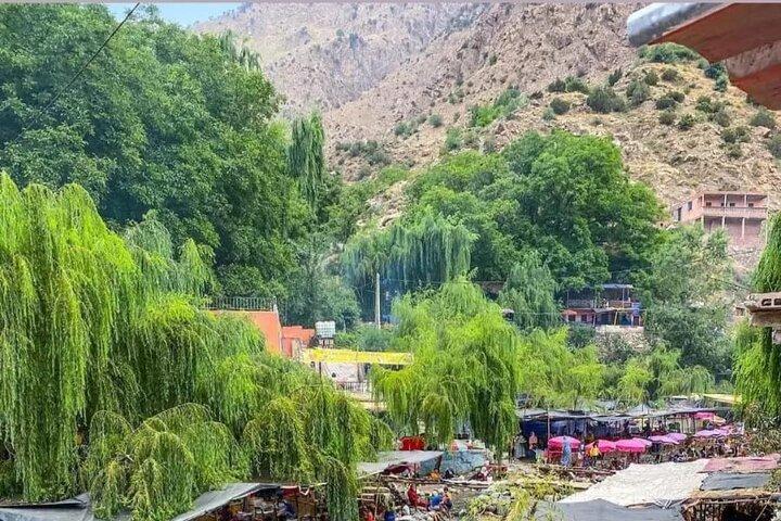 Från Marrakech: Ourika Valley, Atlas, Waterfalls & Guide