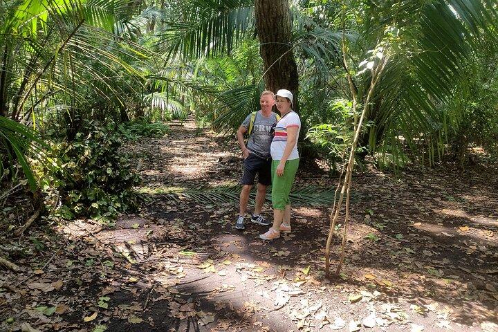Tour combinado del bosque Jozani y el centro de mariposas