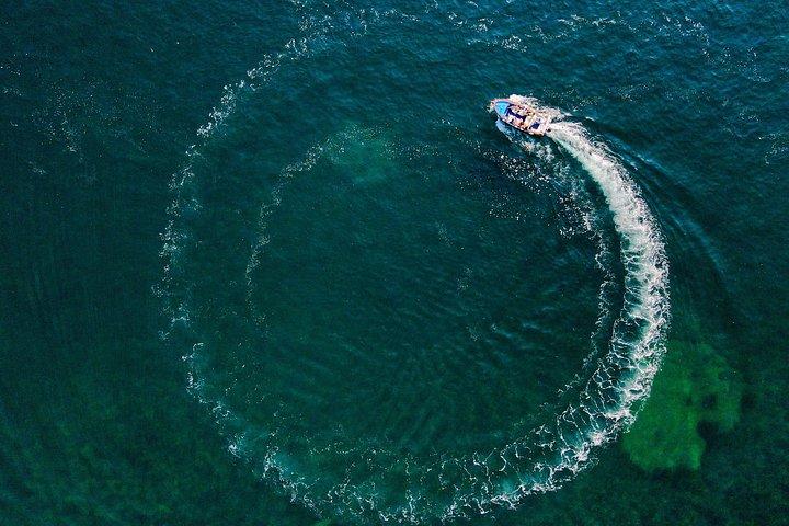 木陰のボートでコルフからプライベートクルーズ
