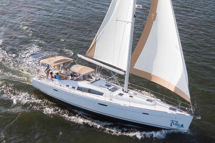 Private Morgensegel / Delfintour auf 50ft Fate, BYOB oder Catering