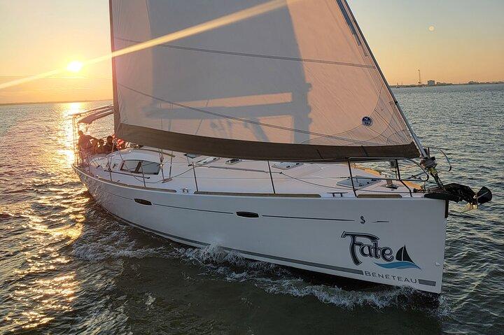 Excursion privée du matin en voile/dauphin sur 50ft Fate, BYOB ou restauration