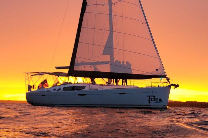 Excursion privée du matin en voile/dauphin sur 50ft Fate, BYOB ou restauration