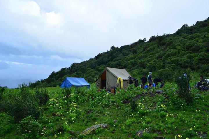 Bhután Paseos a pie con Bumdra Camping.