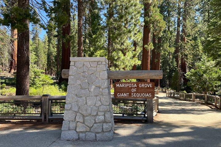 Visite privée du parc national de Yosemite et des séquoias au départ de San Francisco