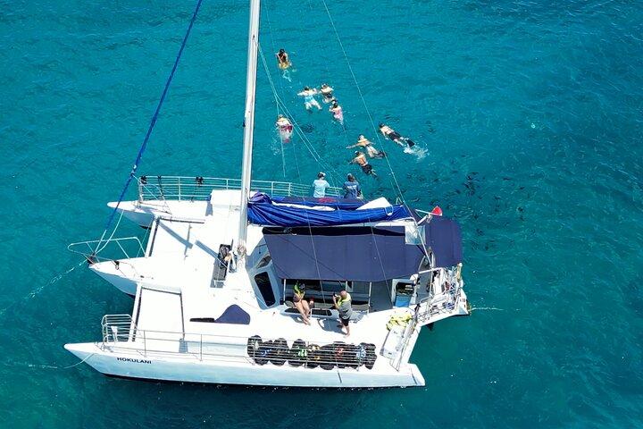 Beste Waikiki snorkeltour : gegarandeerde schildpadden bij Turtle Canyon