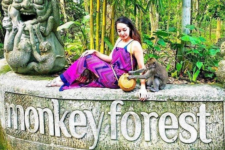 Privat fuld dagstur i Ubud Bali