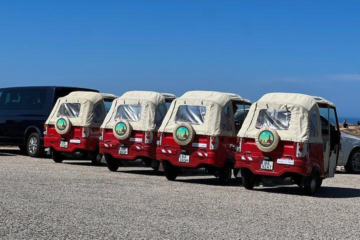 Full-Day Guided Tuk-Tuk Tour in Sintra