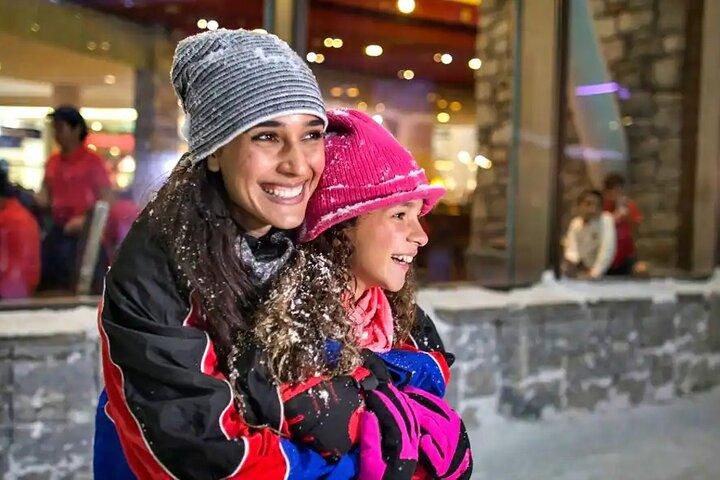 Dubai Fun i sneen - Ski Dubai billetter