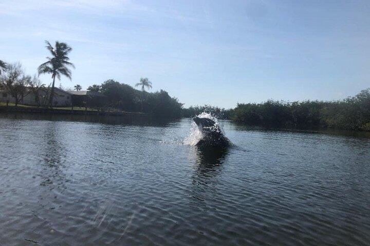Kajaktour mit Seekühen und Delfinen