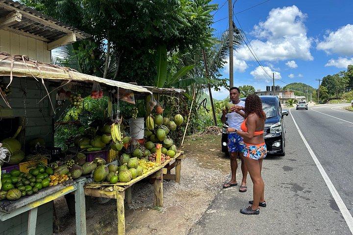 Benta River & Falls Private Tour From Montego Bay