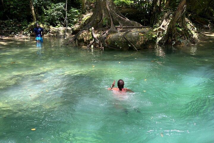 Benta River & Falls Private Tour From Montego Bay