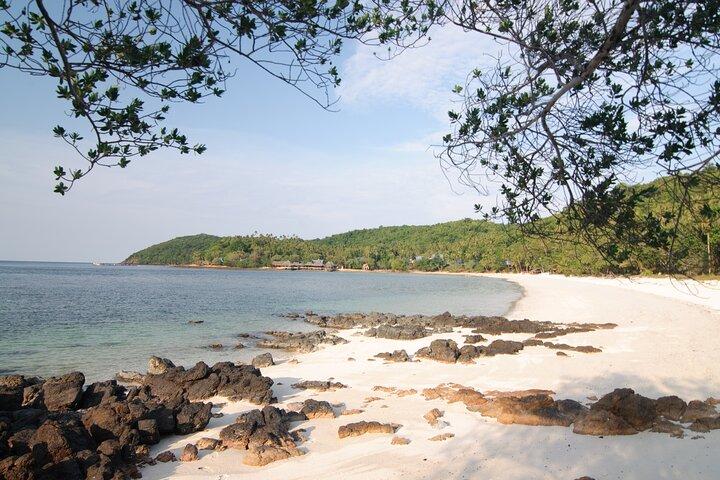 Esperienza condivisa di un'intera giornata a Koh Talu con pranzo