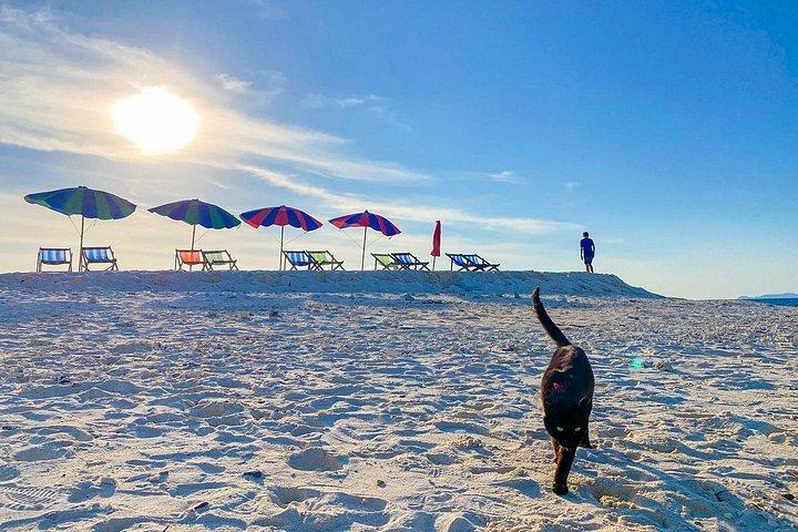 プーケット：送迎付きプライベート・ピーピー島＆カイ島スピードボートツアー
