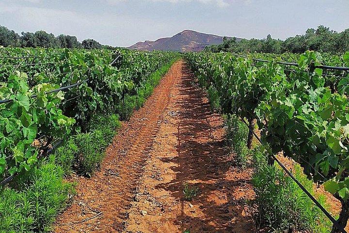 Crete: Olive Oil, Soap, Wine, Raki - Flavorful Culinary Journey