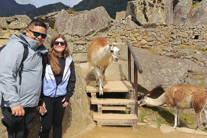 2-daagse treinreis naar Machu Picchu vanuit Cusco