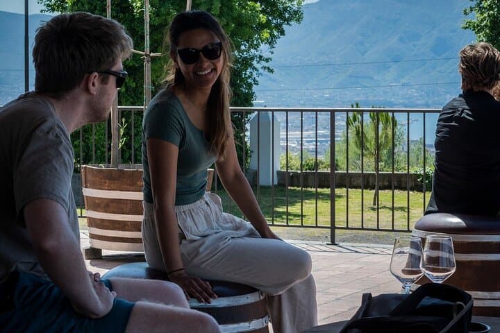 Pompeii, Herculaneum and Wine Tasting Tour - Private Tour