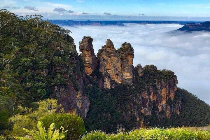 Blue Mountains Private and Customizable Hike from Sydney