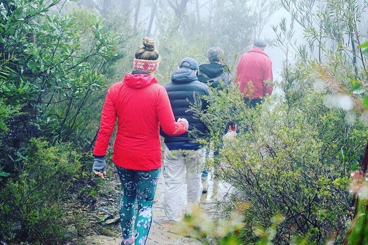 Blue Mountains privéwandeltocht vanuit Sydney
