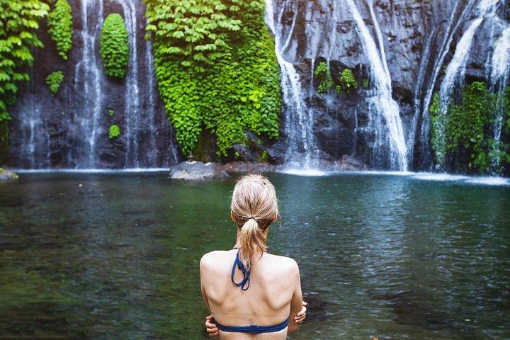 Private Wasserfalltour in Nord-Bali
