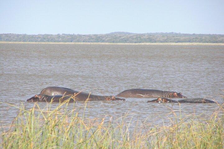 Heldagssafari i Maputo nationalpark