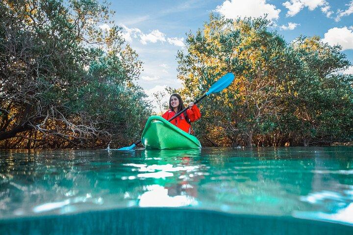 Kayak dans la mangrove Abu Dhabi