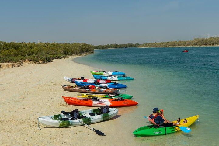 Kayak dans la mangrove Abu Dhabi