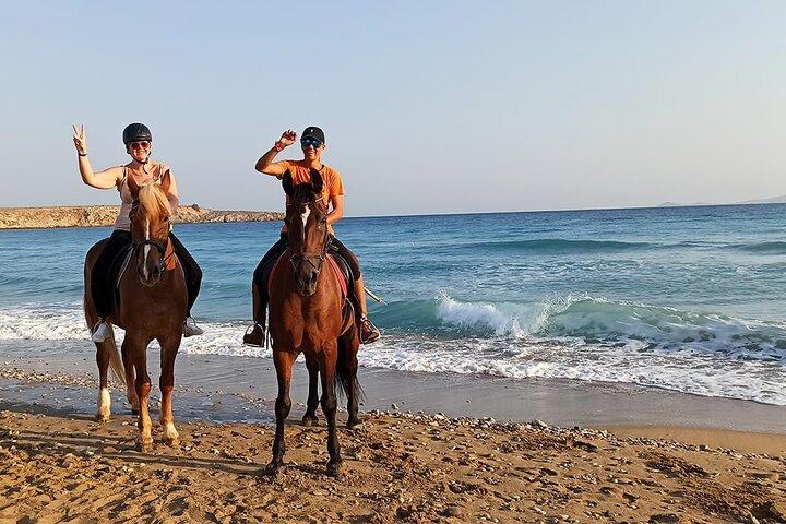 3 - フルガダで馬と一緒に泳ぐ時間
