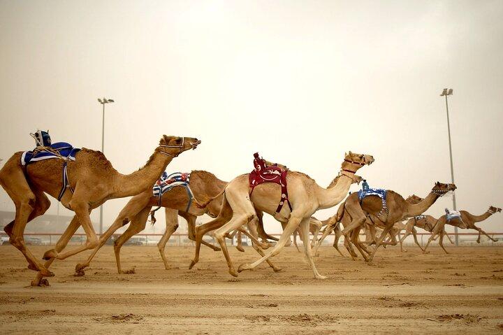 Doha: West Coast Tour na Península Zekreet