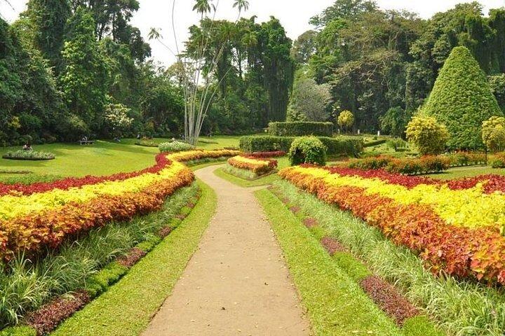 Excursion d'une journée à Kandy au départ de Kalutara Beruwala Bentota Aluthgama Wadduwa