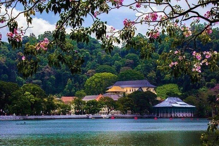 Excursion d'une journée à Kandy au départ de Kalutara Beruwala Bentota Aluthgama Wadduwa