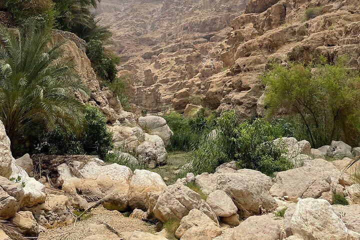 Privat heldags Wadi Shab og Bimmah Sinkhole Tour