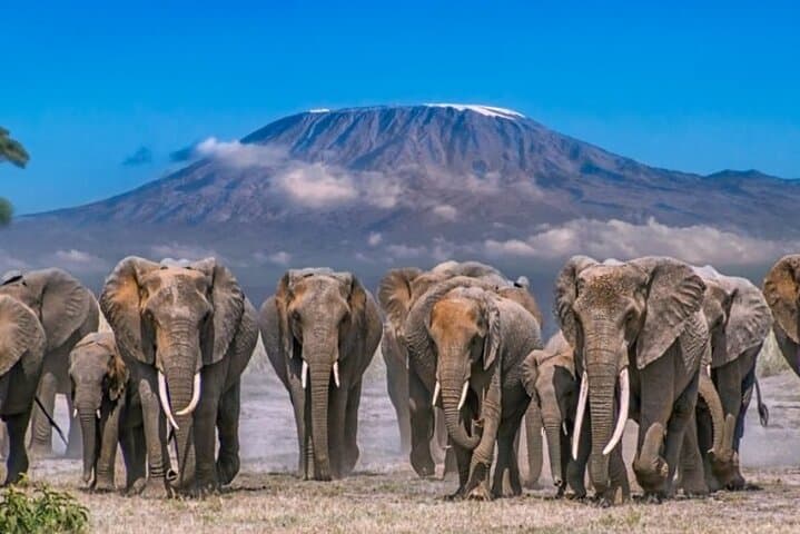 Overnight Safari to Amboseli National Park