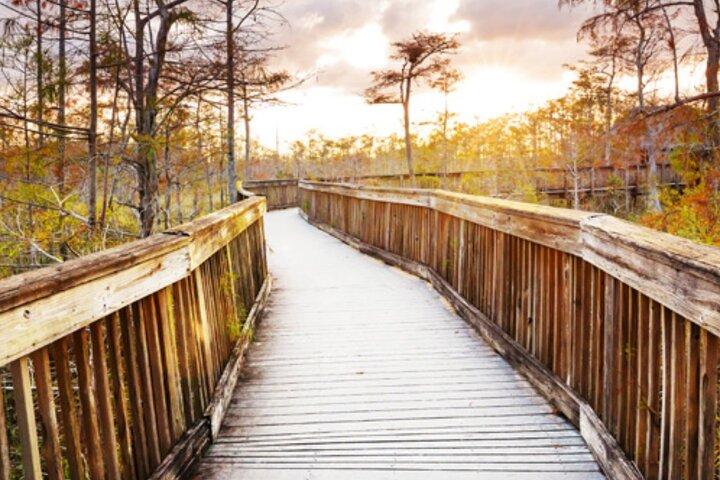 Everglades Immersion Tour: Das ultimative Everglades-Abenteuer