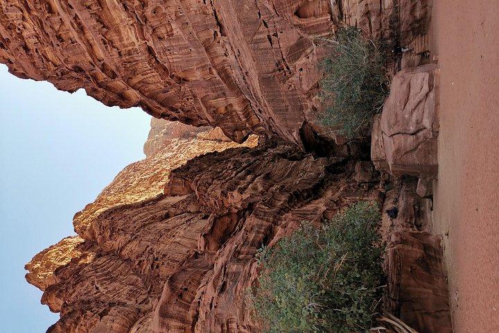 Private full day jeep tour in the desert