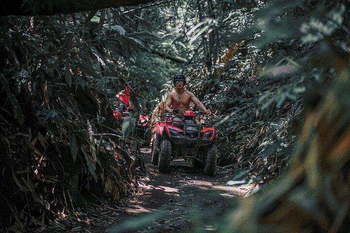 Bali: Gorilla Face ATV Bali Ubud Adventure with Lunch