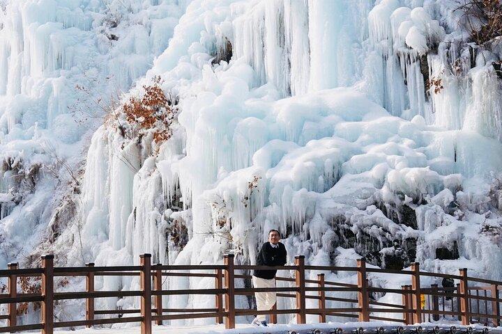 Nami Island, Petite Frankrike & Jordgubbsvintertur från Seoul