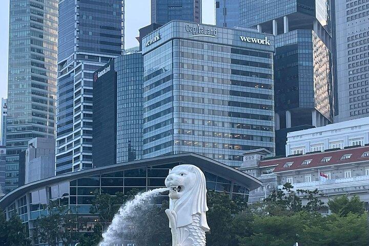 Tour della città di Singapore per piccoli gruppi con trasferimenti di andata e ritorno