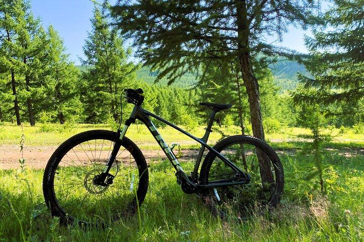 Mountainbike (MTB) Verleih